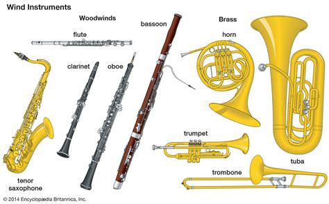 From Ordinary to Extraordinary: The Transformation of Wind Instruments in Chronicle Ensemble Novels
